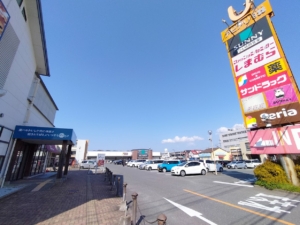 アピアリ八田